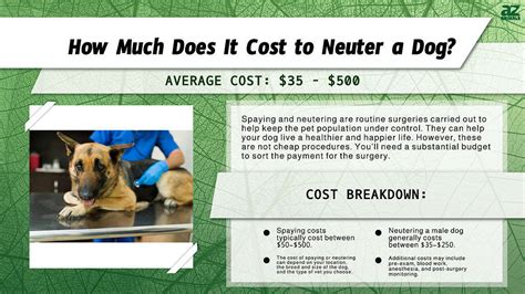 Can Cost of Getting a Dog Spayed Or Neutered be Done Easily?