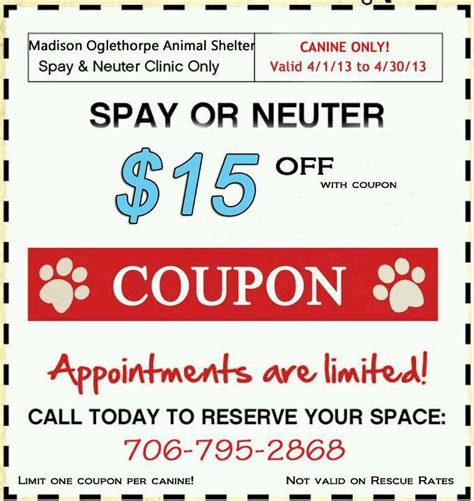 Can Discount Spaying for Dogs be Done Easily?