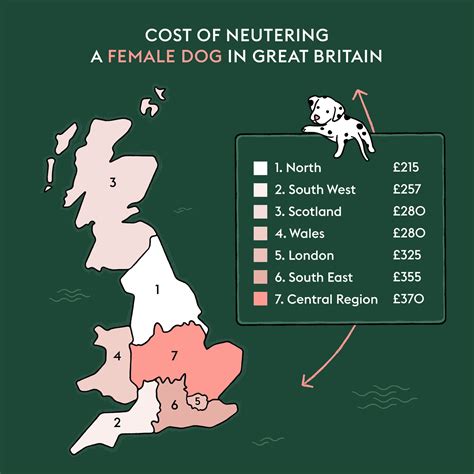 Can How Much Does It Cost to Spay Neuter a Dog be Done Easily?