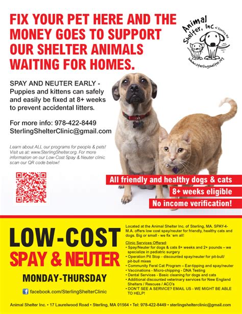 Can Low Cost Spay and Neuter for Dogs be Done Easily?