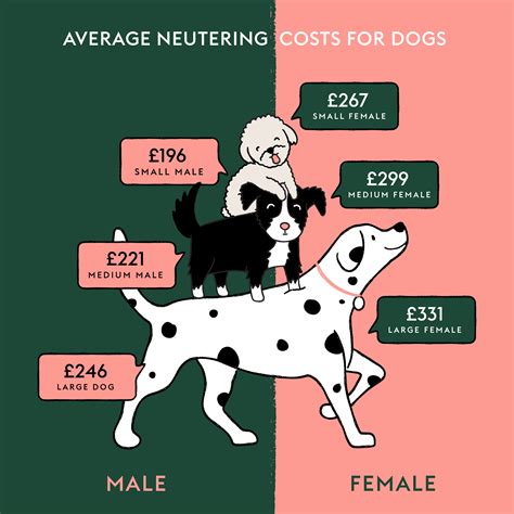 How to Manage Female Dog Spayed Cost Effectively?