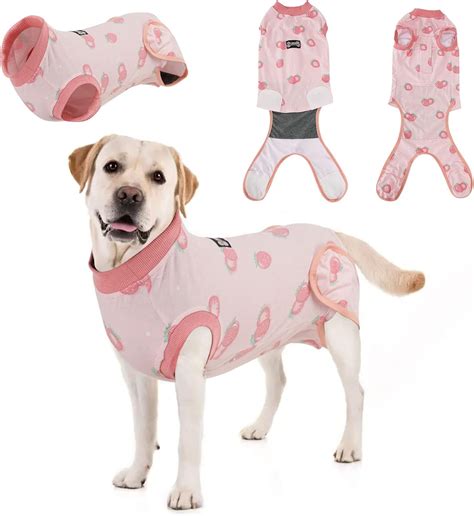 What Should You Know About Dog Spay Recovery Suit?